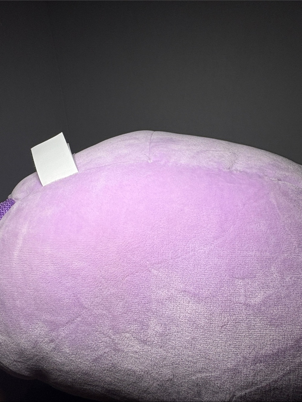 🎒 Monica the Axolotl Squishmallow Backpack NWOT - Picture 9 of 14